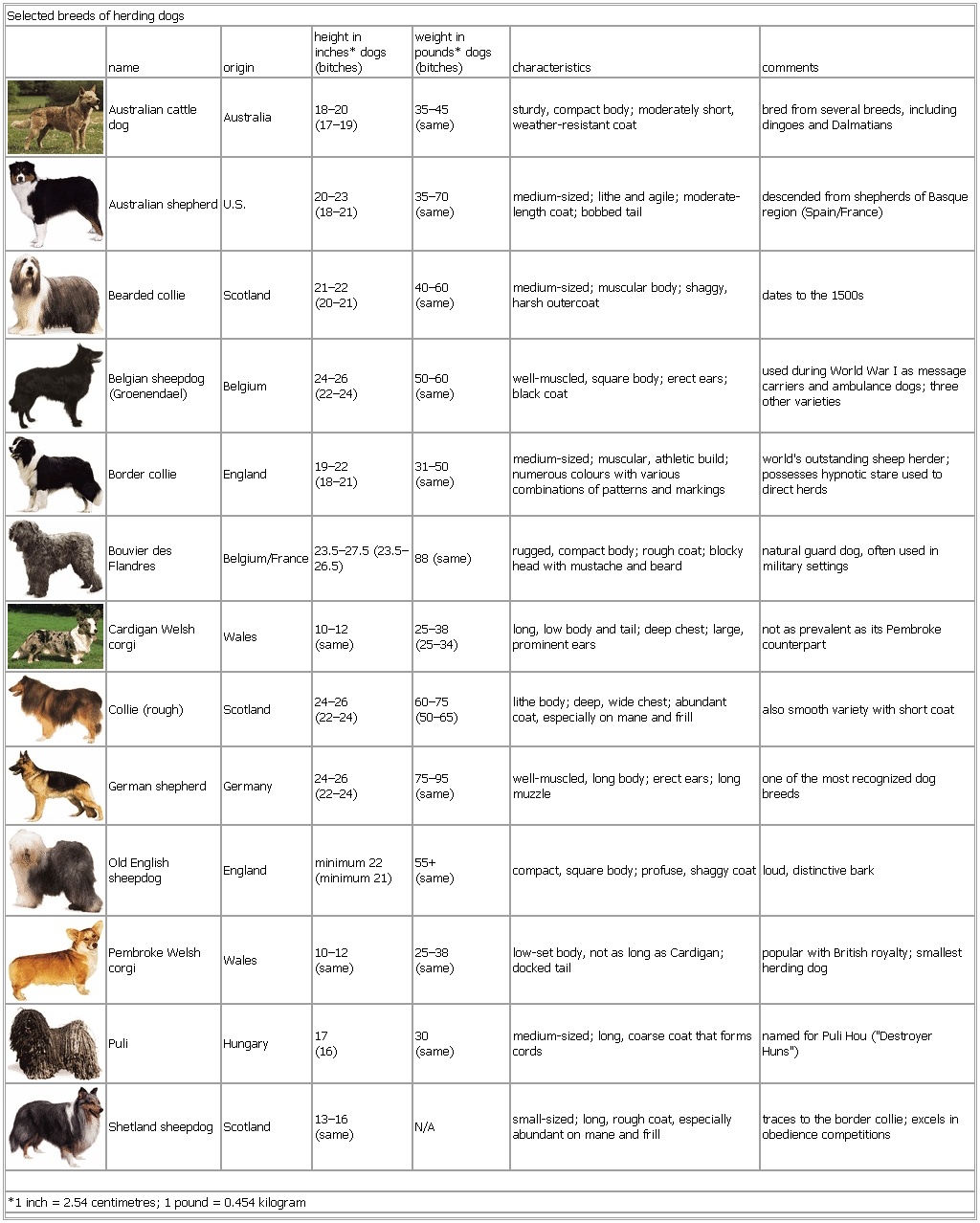 types of herding dogs