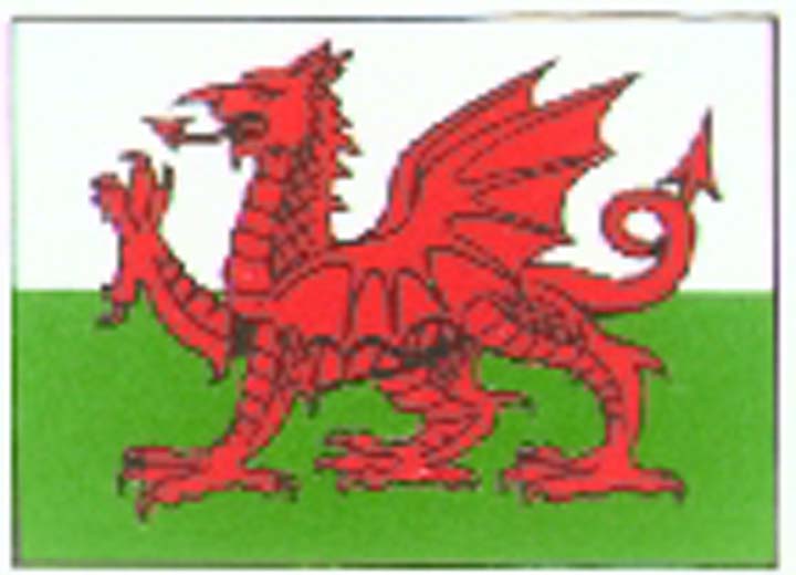 Animated Welsh Dragon